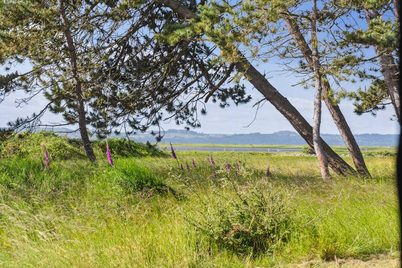 Foto von Ferienhaus NH52 in Sejerø Bugt - Westseeland