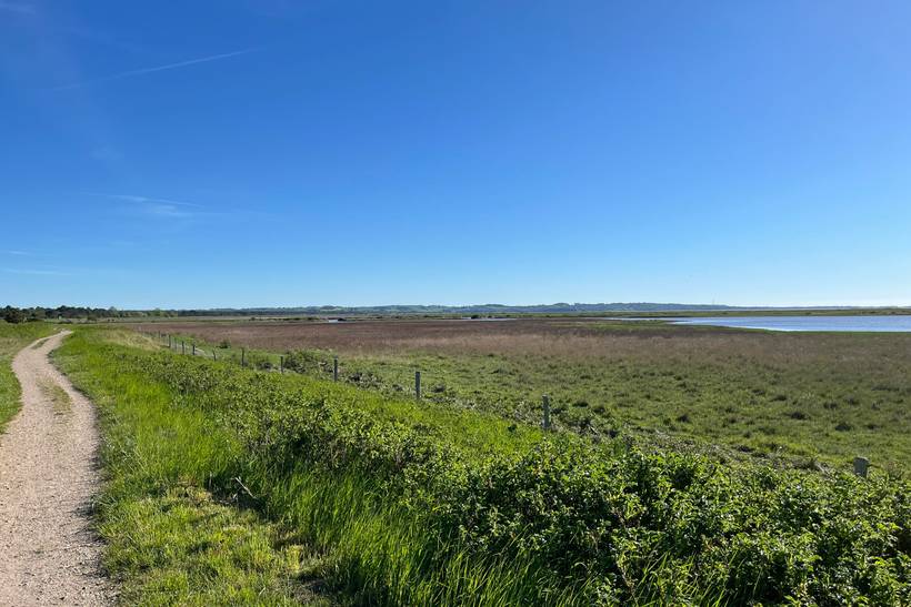 Foto von Ferienhaus NH52 in Sejerø Bugt - Westseeland