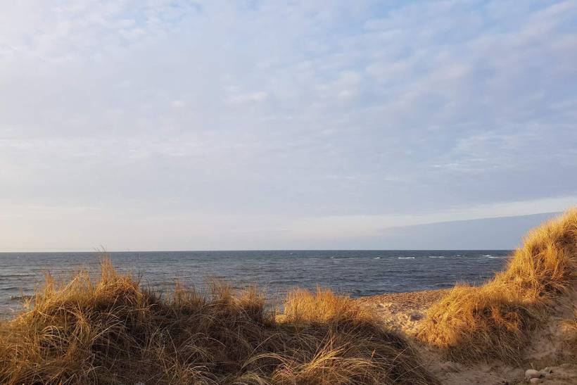 Foto von Ferienhaus NH65 in Lild - Thy/Limfjord