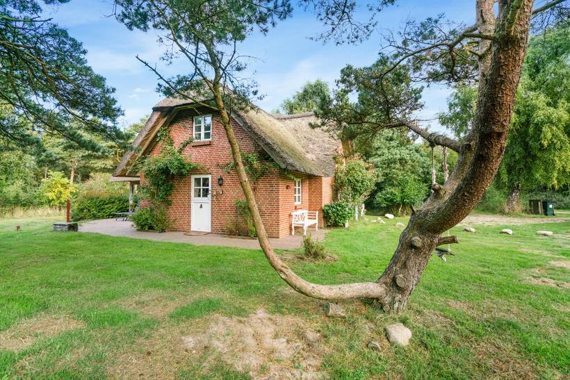 Foto von Ferienhaus NI31 in Sønderstrand - Rømø