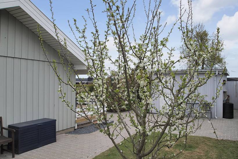 Foto von Ferienhaus NI39 in Hejlsminde - Südjütland