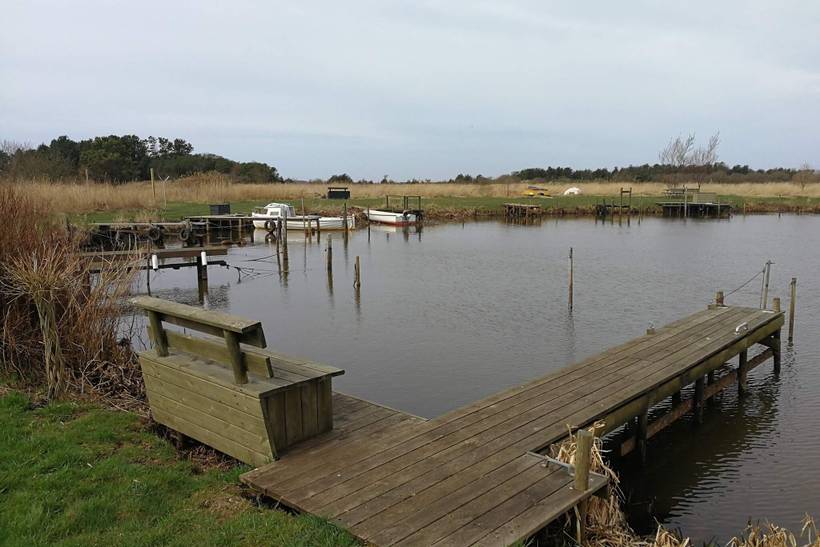 Foto von Ferienhaus NI51 in Bork Havn - Westjütland