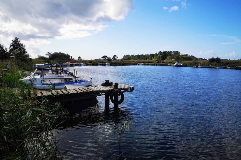 Foto von Ferienhaus NI51 in Bork Havn - Westjütland