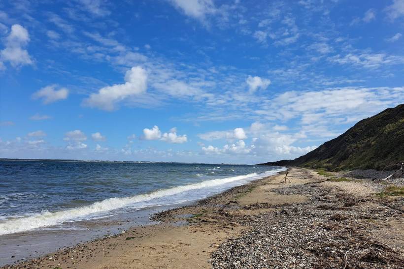Foto von Ferienhaus NI56 in Toftum Bjerge - Thy/Limfjord