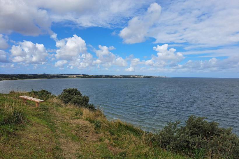 Foto von Ferienhaus NI56 in Toftum Bjerge - Thy/Limfjord