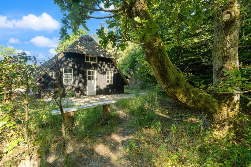 Foto von Ferienhaus NI71 in Vester Husby - Westjütland