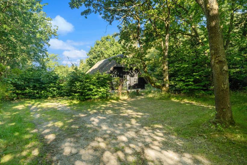 Foto von Ferienhaus NI71 in Vester Husby - Westjütland