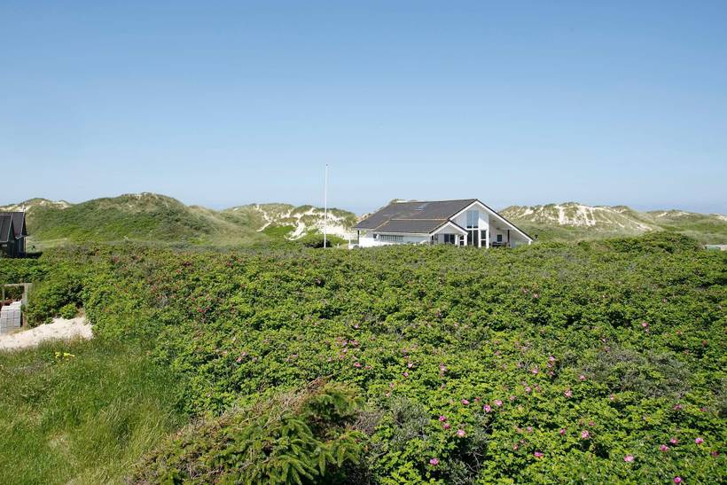 Foto von Ferienhaus NI97 in Blokhus - Nordjütland