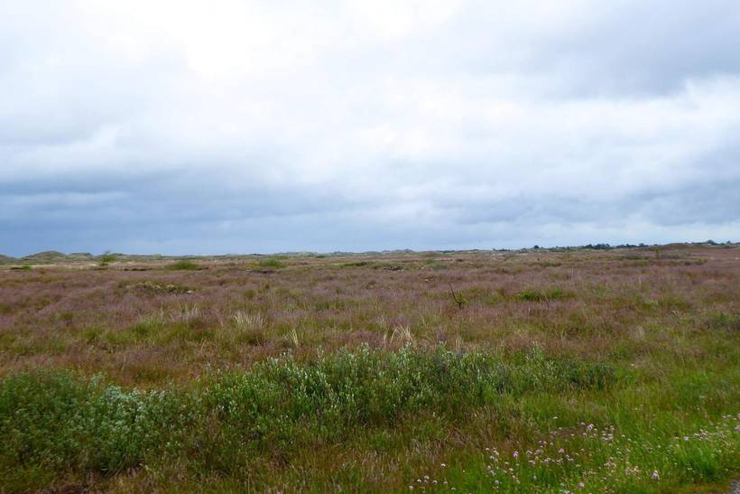 Foto von Ferienhaus NJ05 in Frederikshavn - Nordjütland Ost