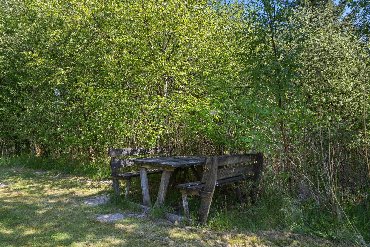 Foto von Ferienhaus NJ08 in Kongsmark - Rømø