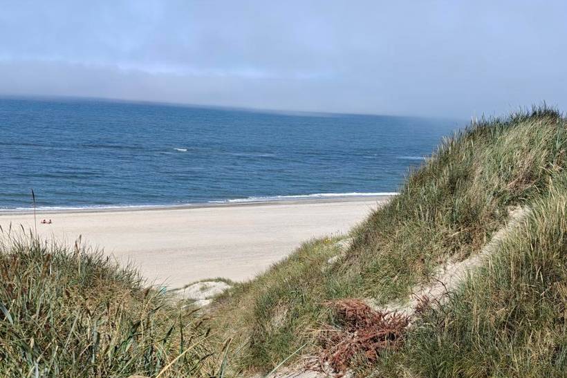 Foto von Ferienhaus NJ31 in Bjerregård - Westjütland