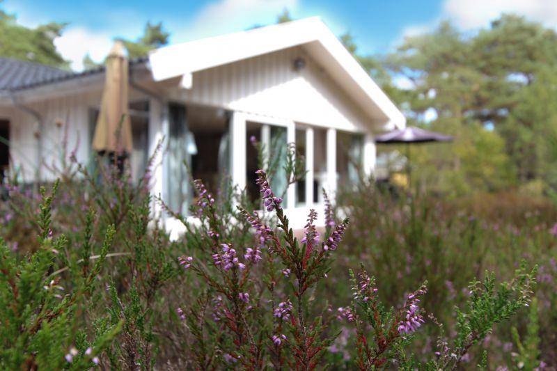 Foto von Ferienhaus NJ66 in Dueodde - Bornholm