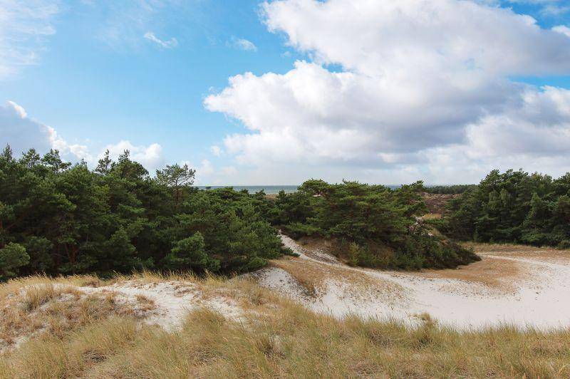Foto von Ferienhaus NJ66 in Dueodde - Bornholm