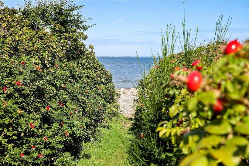 Foto von Ferienhaus NK13 auf Reersø - Westseeland