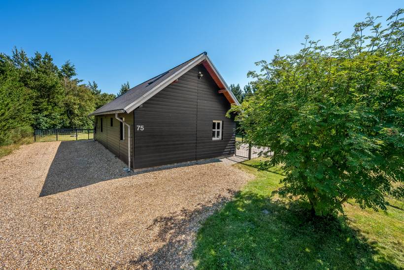 Foto von Ferienhaus NK18 in Stauning - Westjütland
