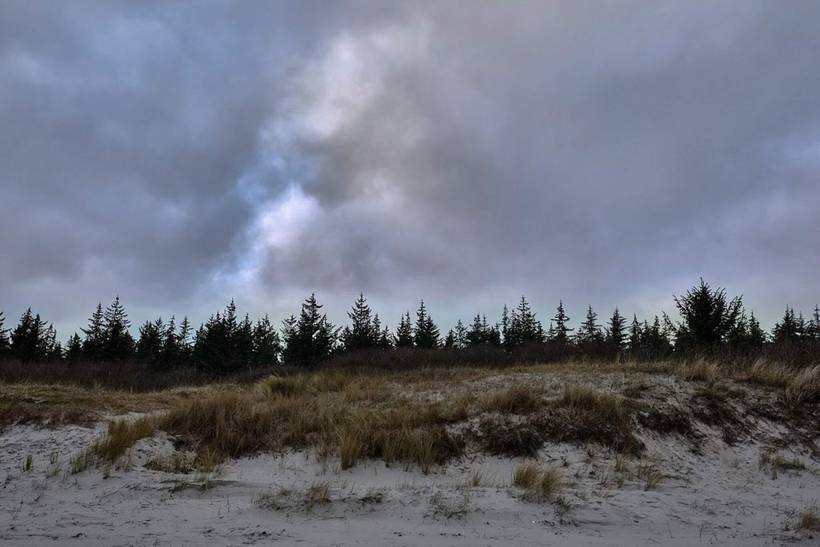 Foto von Ferienhaus NK50 in Hou - Nordjütland Ost