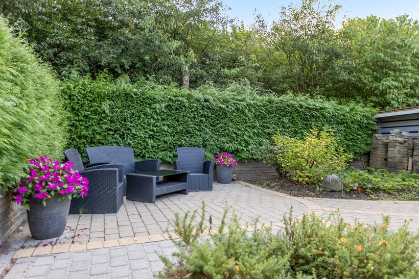 Foto von Ferienhaus NL16 in Arrild - Südjütland