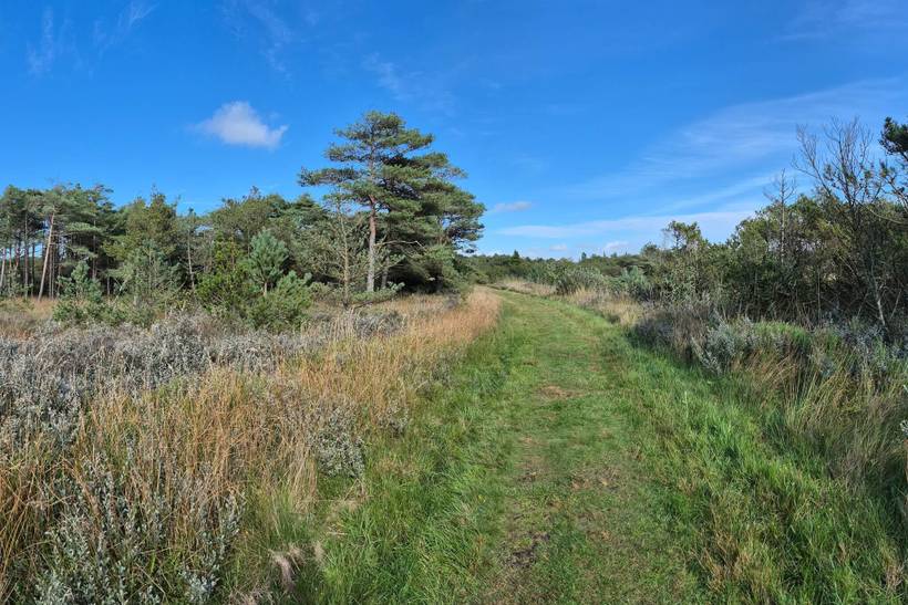 Foto von Ferienhaus NL49 in Havneby - Rømø