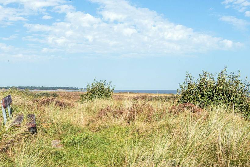 Foto von Ferienhaus NL49 in Havneby - Rømø