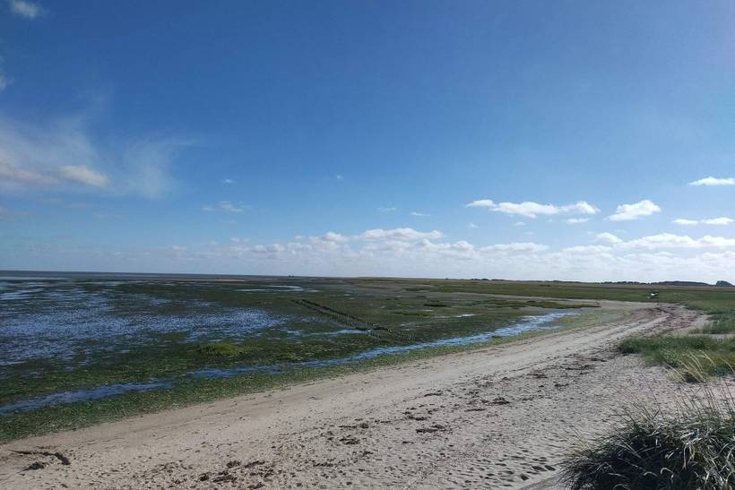 Foto von Ferienhaus NL49 in Havneby - Rømø