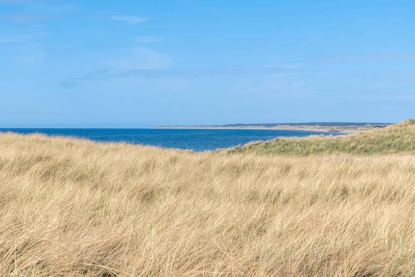 Foto von Ferienhaus NL76 in Skallerup Klit - Lønstrup - Nordjütland