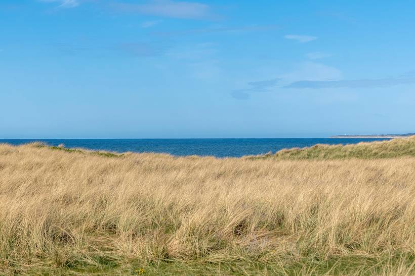 Foto von Ferienhaus NL76 in Skallerup Klit - Lønstrup - Nordjütland
