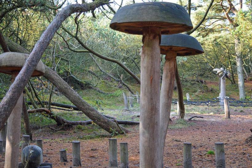 Foto von Ferienhaus NM13 in Kromose - Rømø
