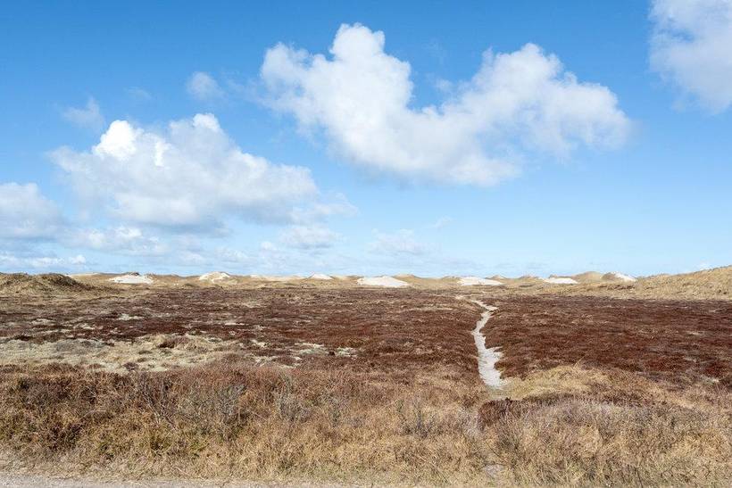 Foto von Ferienhaus NM42 in Skodbjerge - Bjerregård - Westjütland