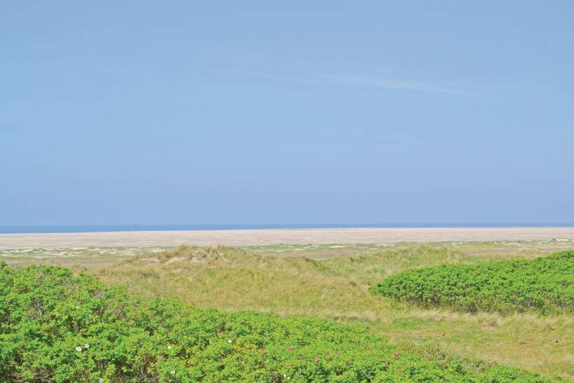 Foto von Ferienhaus NM47 in Fanø Bad - Fanø