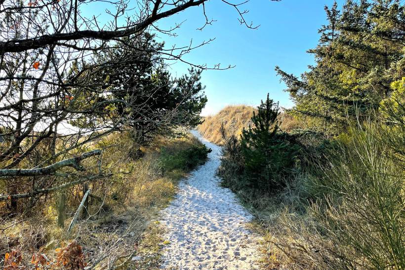 Foto von Ferienhaus NM54 in Vesterø - Læsø