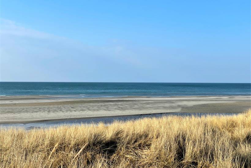 Foto von Ferienhaus NM54 in Vesterø - Læsø