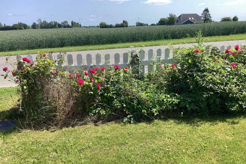 Foto von Ferienhaus NM58 auf Horslunde - Lolland