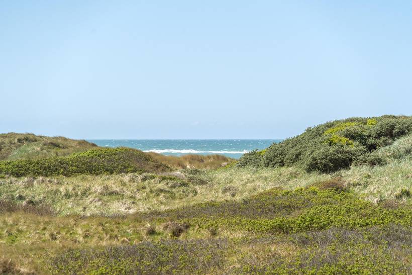 Foto von Ferienhaus NM75 in Grønhøj - Løkken - Nordjütland