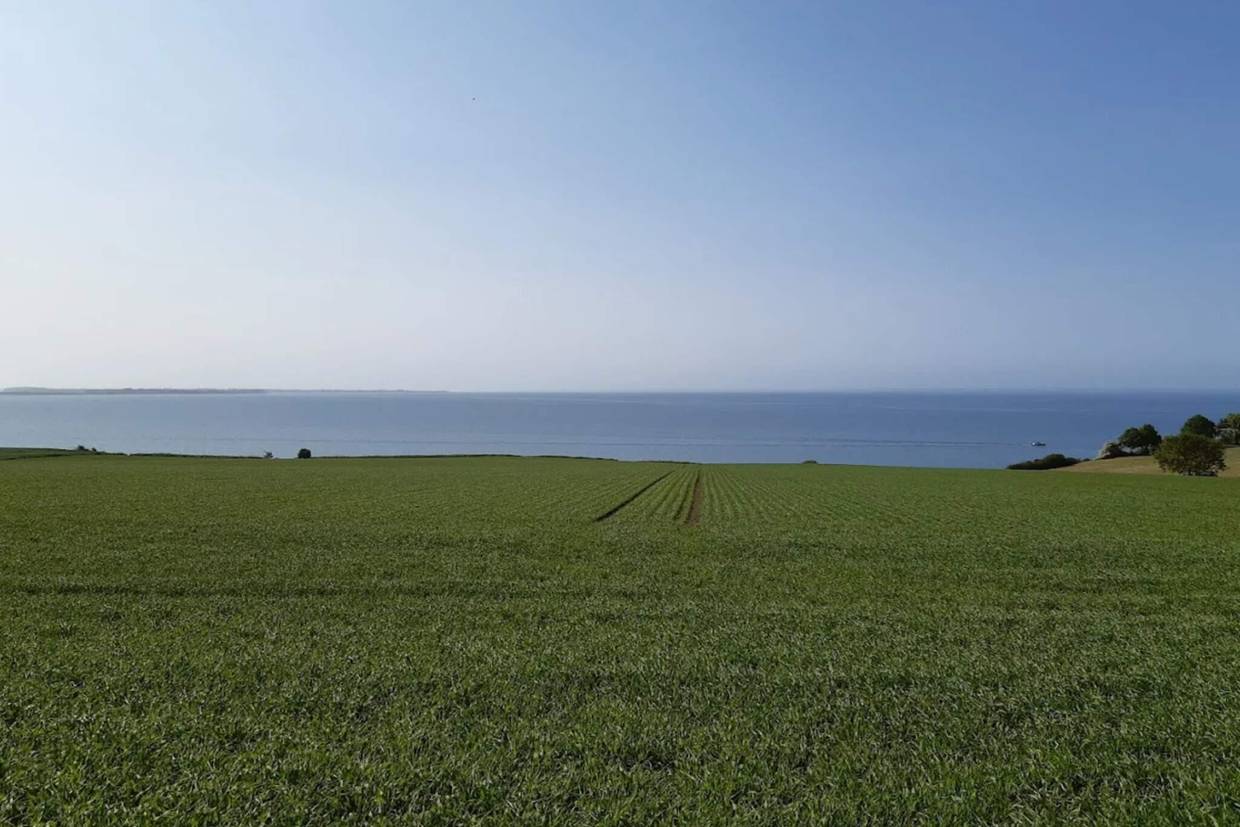 Foto von Ferienhaus NN31 auf Assens - Südfünen