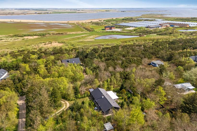 Foto von Ferienhaus NN54 in Søndervig - Westjütland