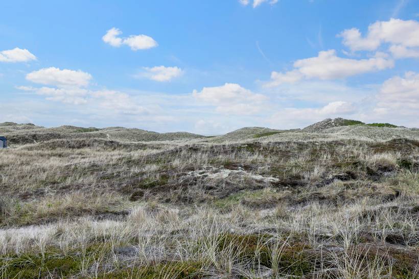 Foto von Ferienhaus NN89 in Klegod - Westjütland