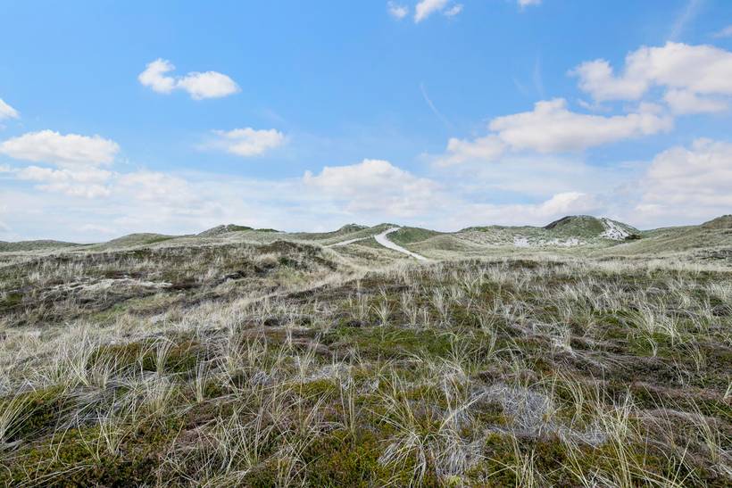 Foto von Ferienhaus NN89 in Klegod - Westjütland