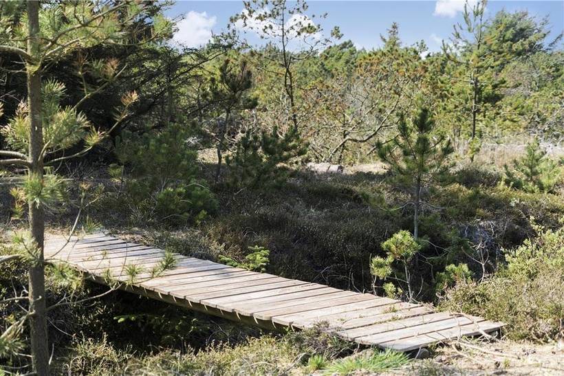 Foto von Ferienhaus NN91 in Bjerghuse - Fjand - Westjütland