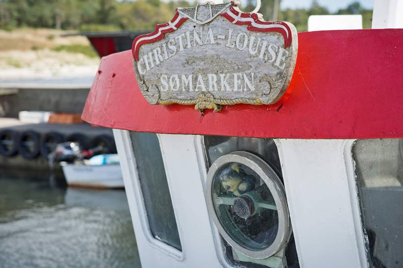 Foto von Ferienhaus NO15 in Sømarken - Bornholm