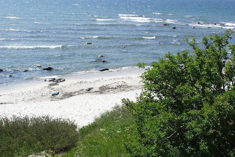 Foto von Ferienhaus NO15 in Sømarken - Bornholm