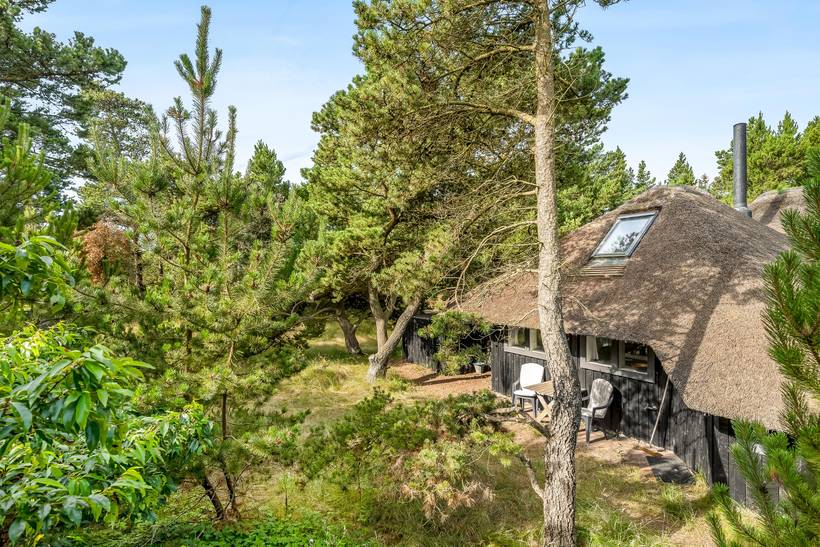 Foto von Ferienhaus NO41 in Blåvand - Westjütland