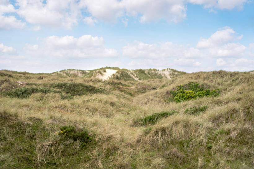 Foto von Ferienhaus NO48 in Vejers Strand - Westjütland