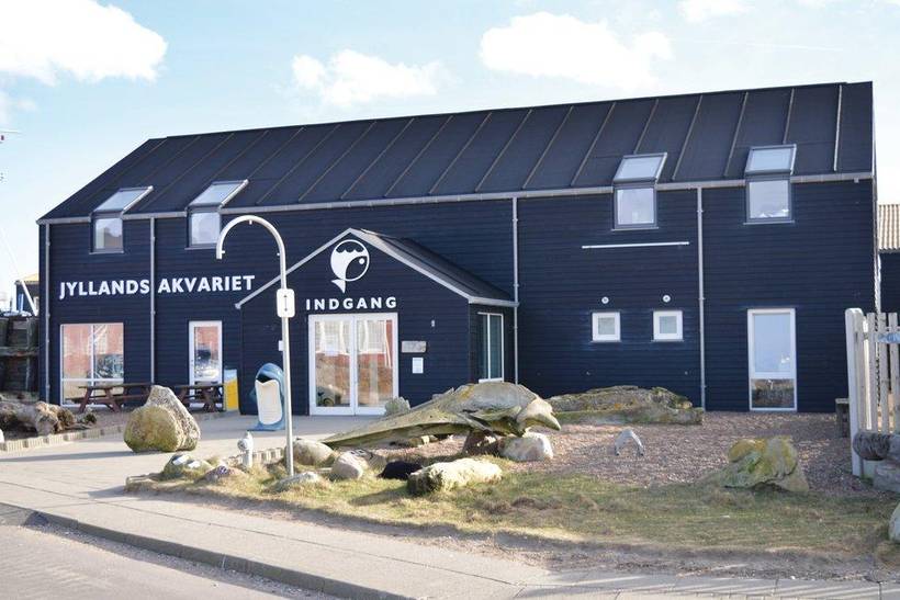 Foto von Ferienhaus NP23 in Vrist - Vejlby Klit - Westjütland
