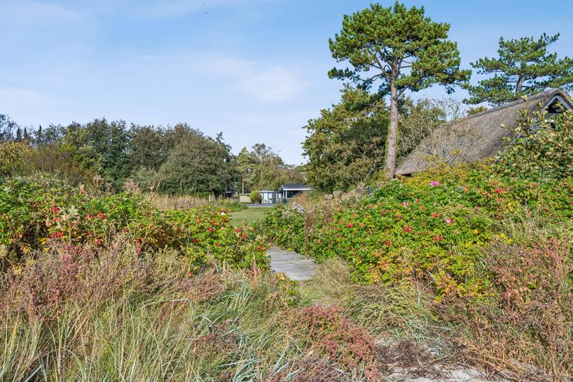 Foto von Ferienhaus NP47 in Handrup - Ebeltoft - Ostjütland