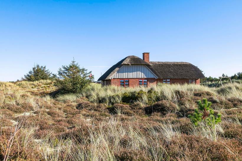 Foto von Ferienhaus NQ81 in Søndervig - Westjütland