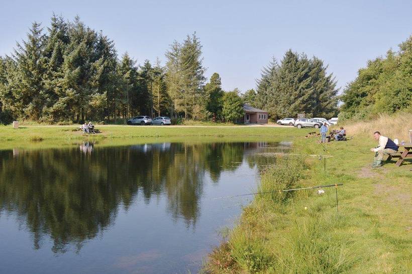 Foto von Ferienhaus NR52 in Stauning - Westjütland