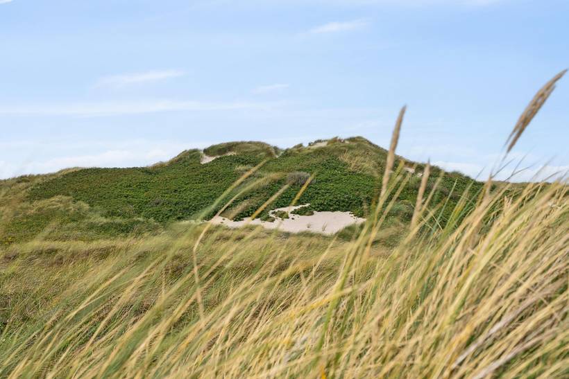 Foto von Ferienhaus NR59 in Søndervig - Westjütland