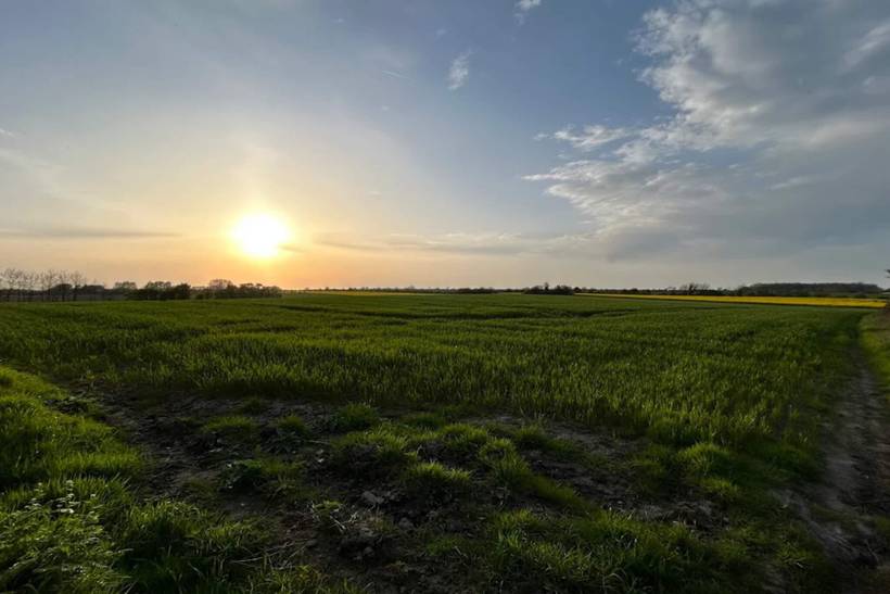 Foto von Ferienhaus NR81 in Flovt - Südjütland