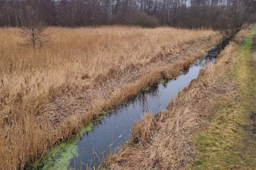 Foto von Ferienhaus NT00 in Fuglslev - Ebeltoft - Ostjütland