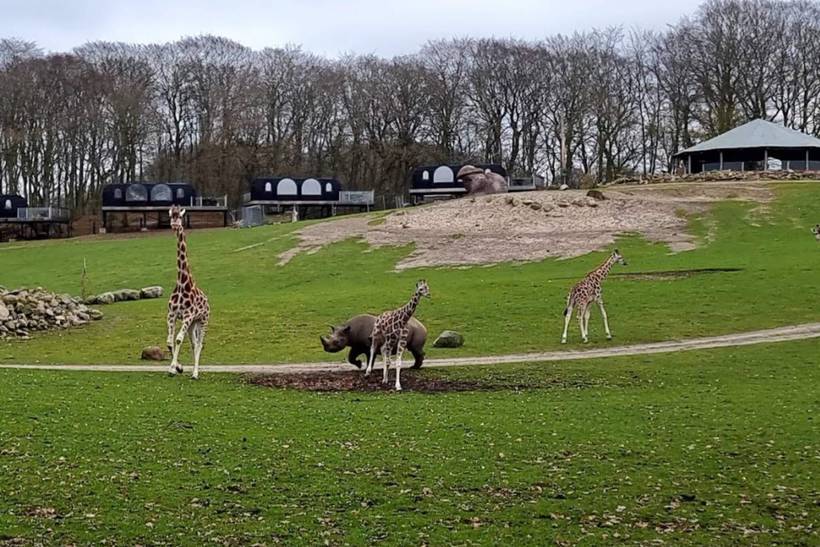 Foto von Ferienhaus NT00 in Fuglslev - Ebeltoft - Ostjütland